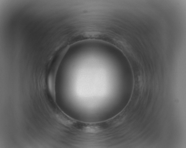 X0000083060508200702091508