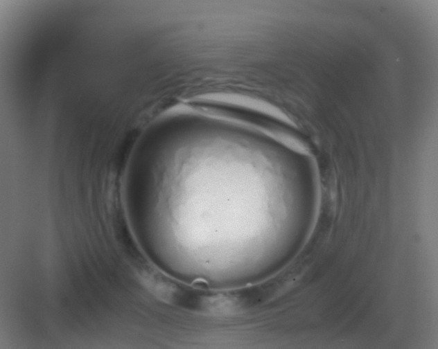 X0000083060511200702091508