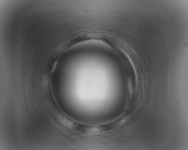X0000083060513200702091507