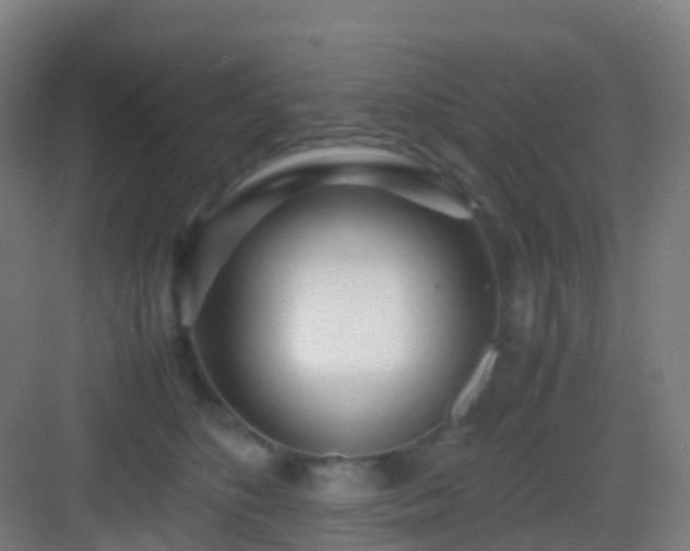 X0000083060516200702091507