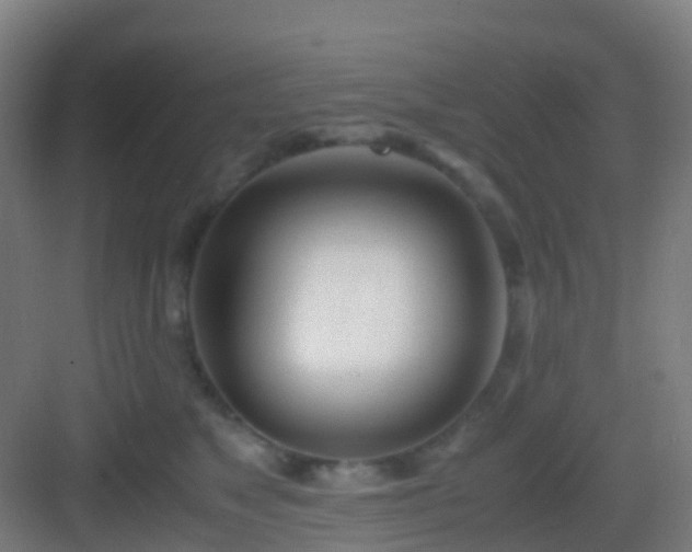 X0000083060517200702091507