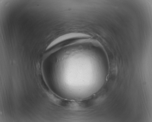 X0000083060523200702091507