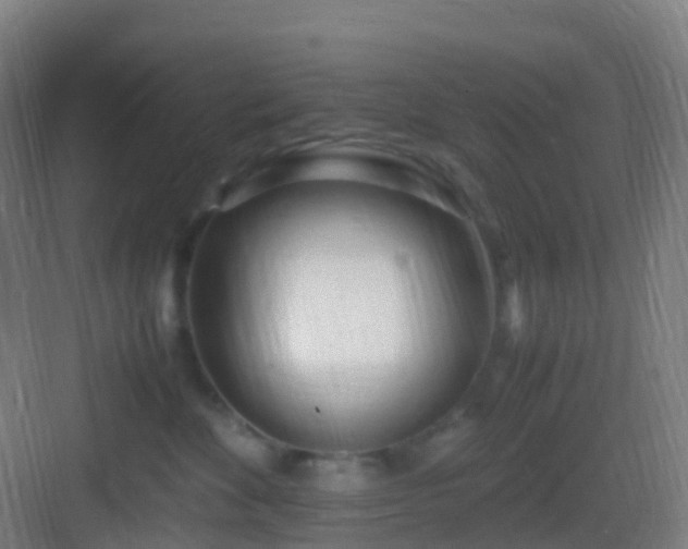 X0000083060524200702091507