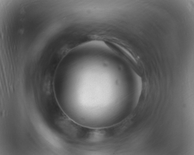 X0000083060525200702091507