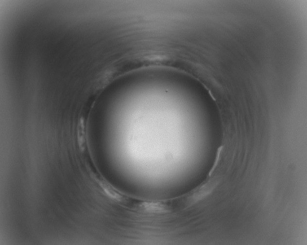 X0000083060528200702091507