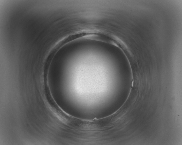 X0000083060535200702091507