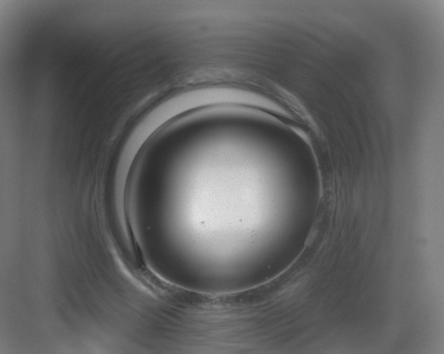 X0000083060538200702091507