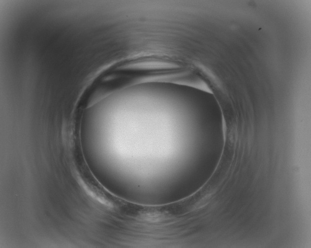 X0000083060540200702091507