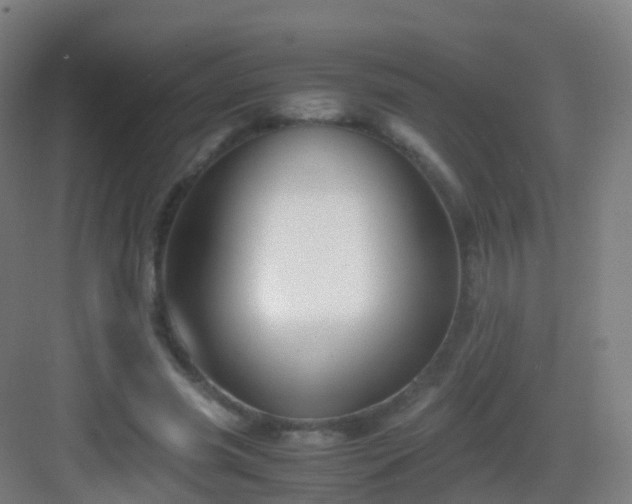X0000083060541200702091507