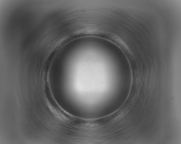 X0000083060542200702091507