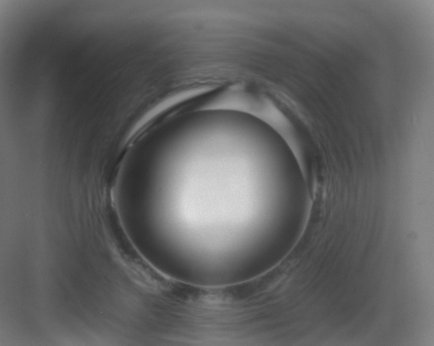 X0000083060546200702091507