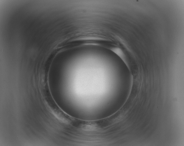 X0000083060548200702091507