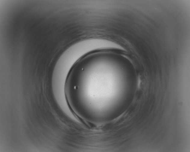 X0000083060552200702091507