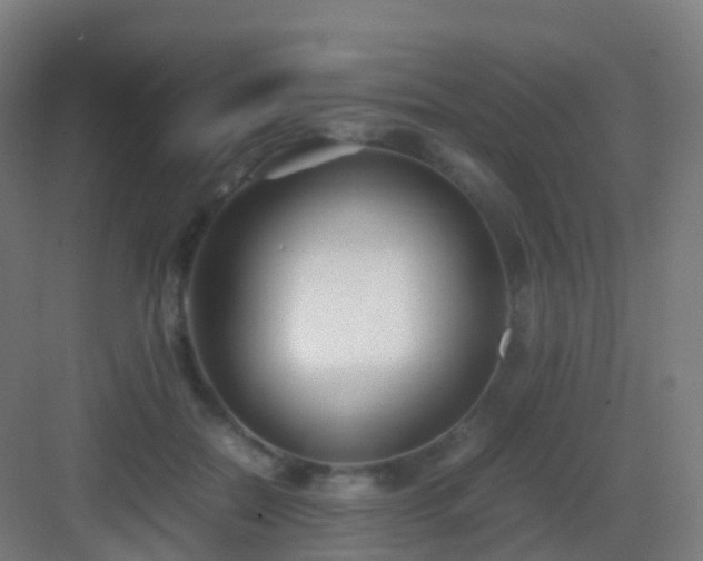 X0000083060554200702091507