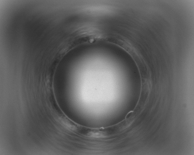 X0000083060557200702091507