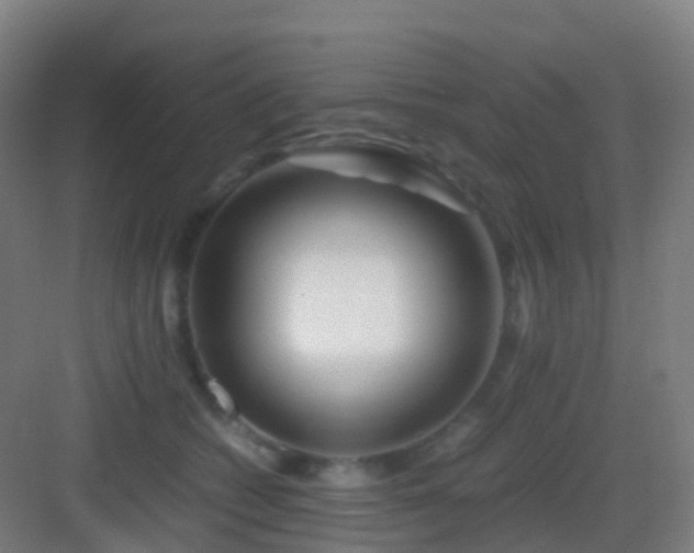 X0000083060562200702091507