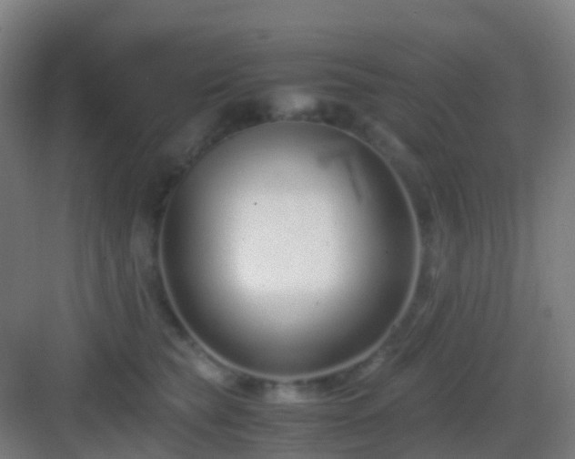 X0000083060565200702091507