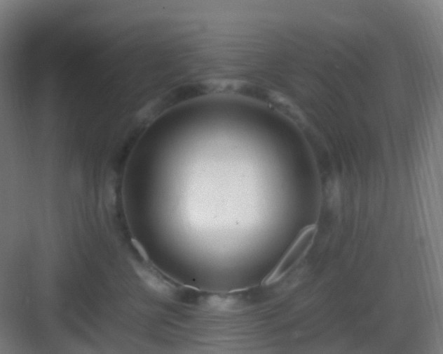 X0000083060570200702091507