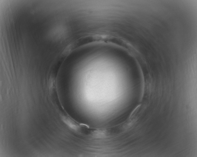 X0000083060574200702091507