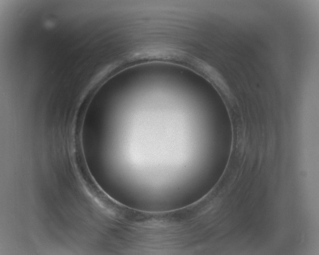 X0000083060578200702091506