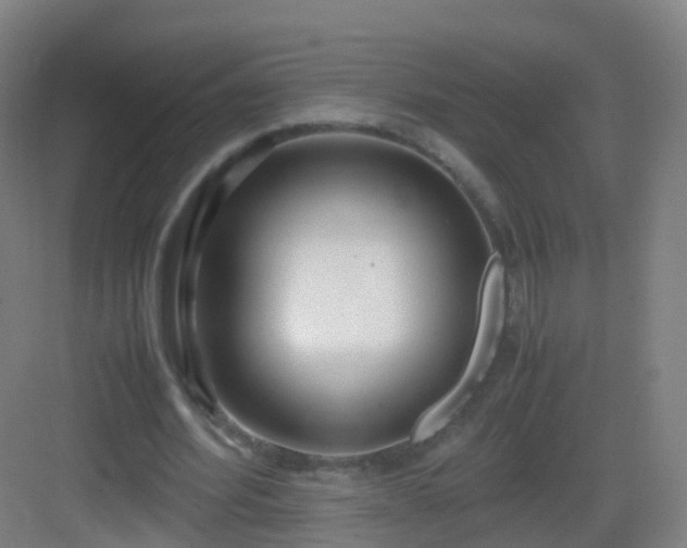 X0000083060580200702091506