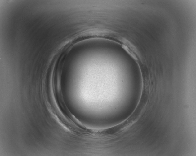 X0000083060581200702091506