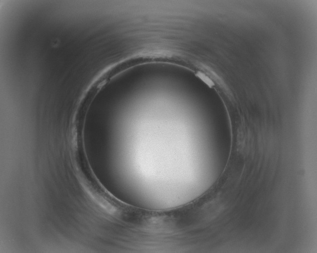 X0000083060584200702091506