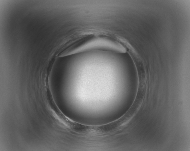 X0000083060585200702091506