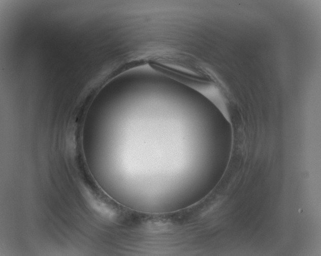 X0000083060586200702091506