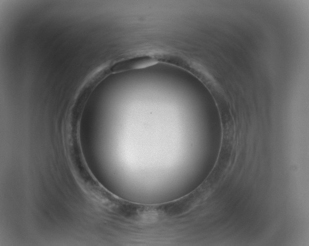 X0000083060587200702091506