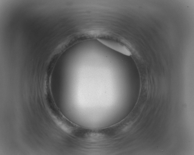X0000083060590200702091506