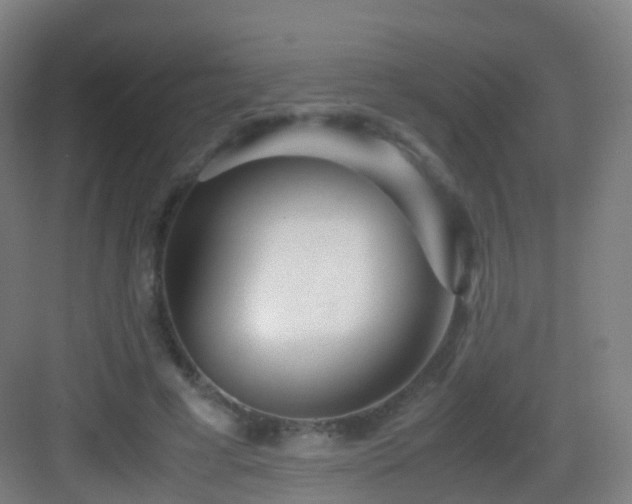 X0000083060593200702091506