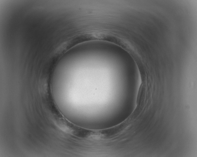 X0000083060595200702091506