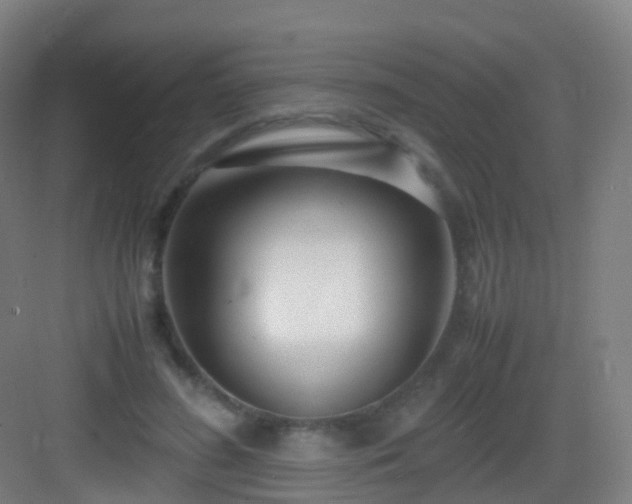 X0000083060596200702091506