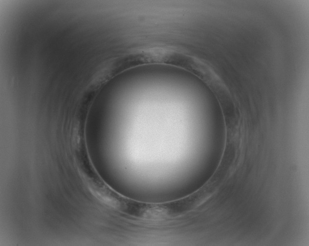 X0000083060599200702091506