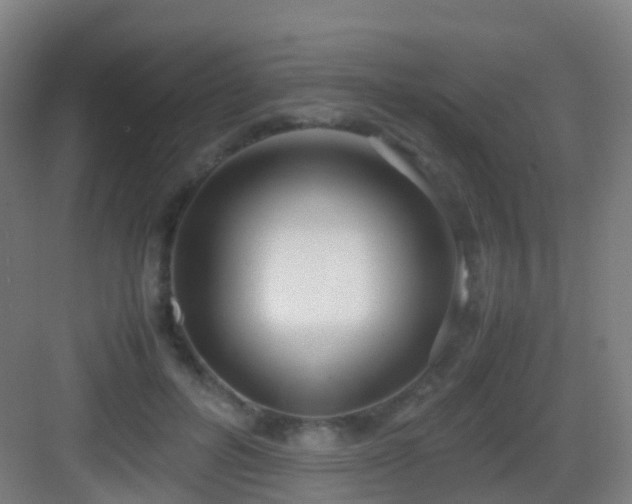 X0000083060600200702091506
