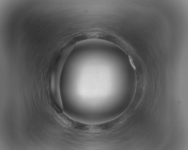 X0000083060601200702091506