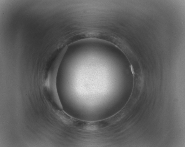 X0000083060604200702091506