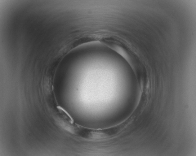 X0000083060605200702091506