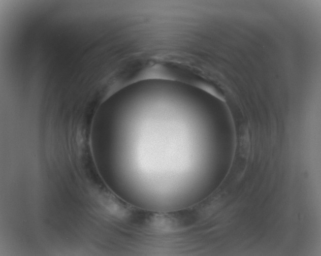 X0000083060608200702091506