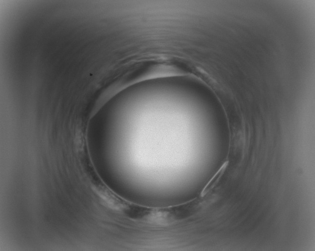 X0000083060609200702091506