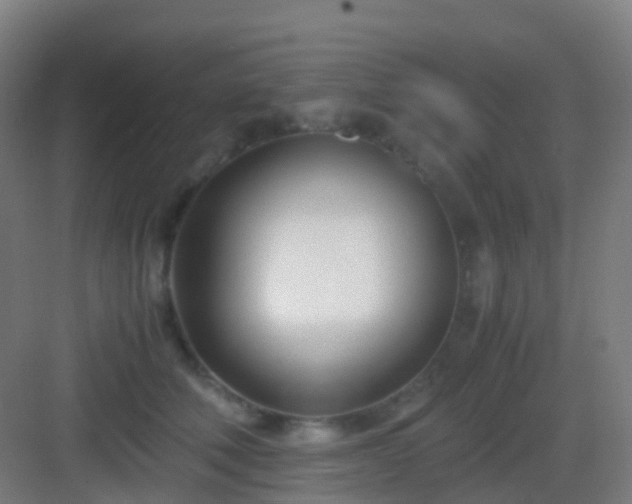 X0000083060610200702091506