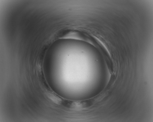 X0000083060613200702091506