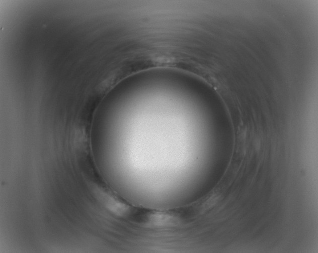 X0000083060614200702091506