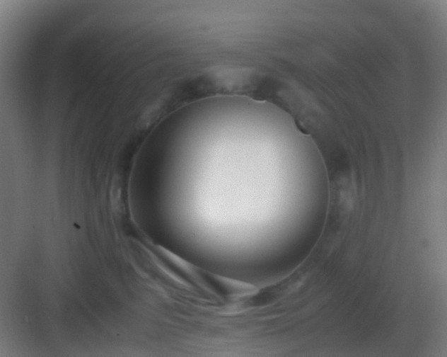 X0000083060615200702091506