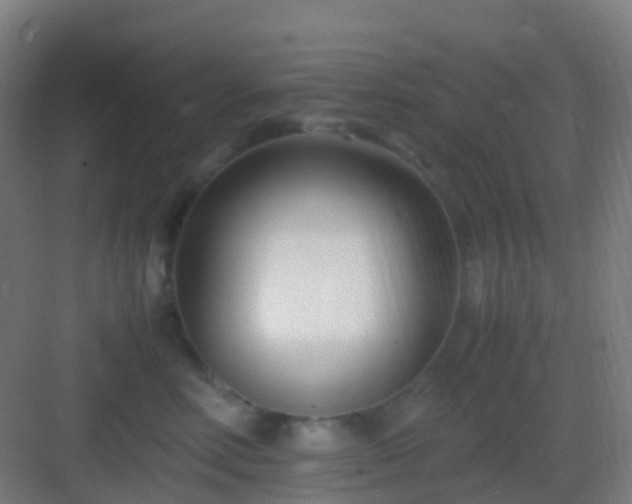 X0000083060618200702091506