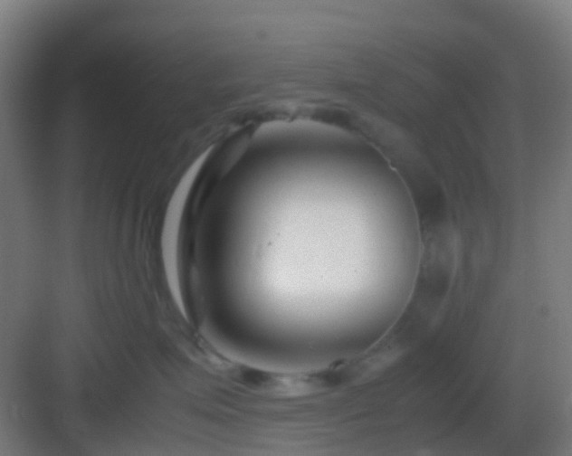 X0000083060623200702091506