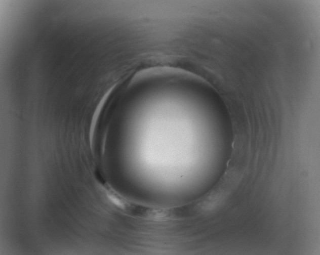 X0000083060624200702091506