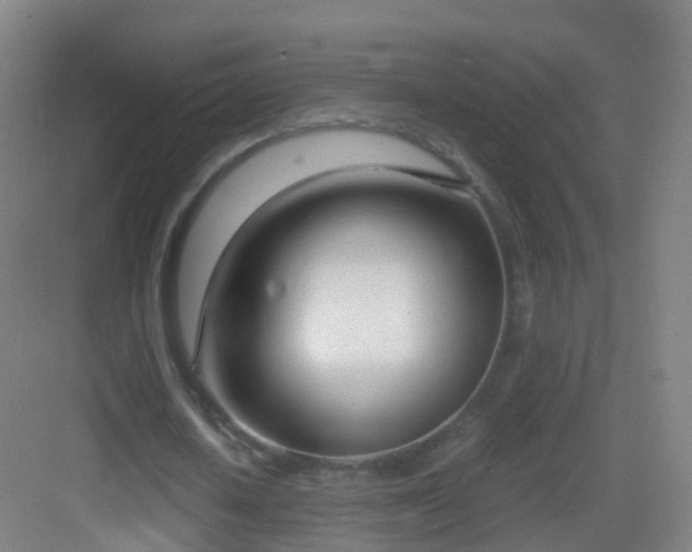 X0000083060626200702091505