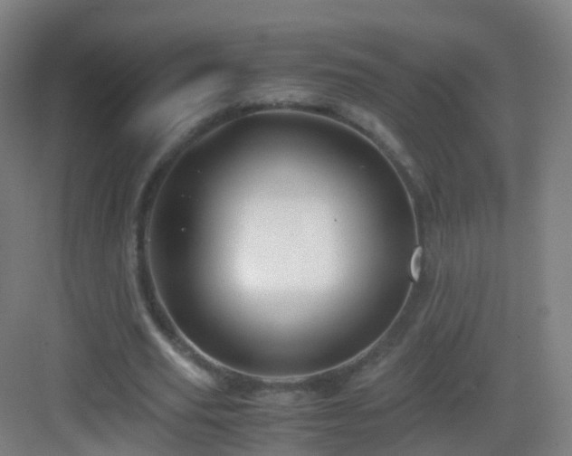 X0000083060629200702091505